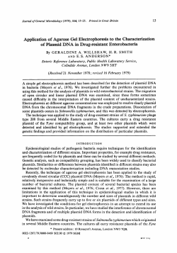 Application of Agarose Gel Electrophoresis to the