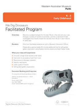 Facilitated Program - Western Australian Museum
