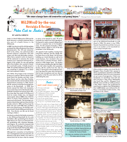 hol11 polar cub - Sun by the Sea