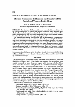 Electron Microscopic Evidence on the Structure of the