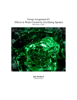 Group Assignment #3 Effects in Water Created by Oscillating Speaker