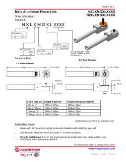 NZL Datasheet