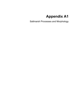 Appendix A1 Processes