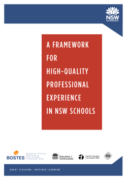 Professional Experience Framework