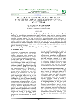 INTELLIGENT SEGMENTATION OF MR BRAIN STRUCTURES