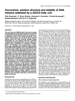 Occurrence, solution structure and stability of DNA hairpins