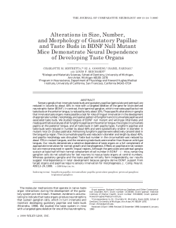 Alterations in size, number, and morphology of gustatory papillae