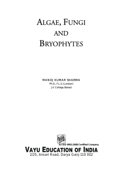 algae, fungi and bryophytes