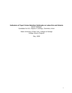 Indicators of Type E Avian Botulism Outbreaks on