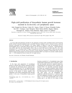 High-yield purification of biosynthetic human growth hormone