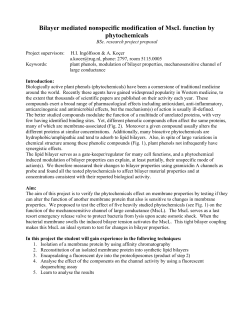 Bilayer mediated nonspecific modification of MscL function by