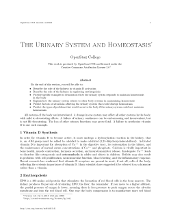 The Urinary System and Homeostasis