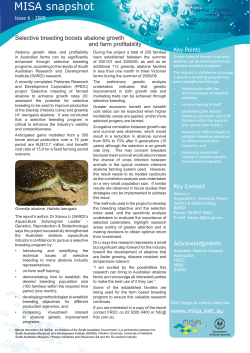 Selective breeding boosts abalone growth and farm profitability
