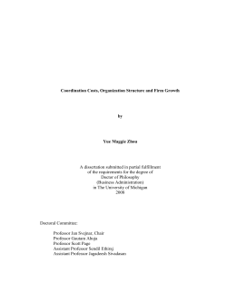 Coordination Costs, Organization Structure and Firm