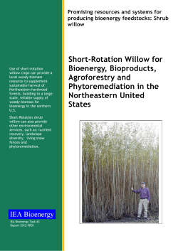 Short-Rotation Willow for Bioenergy, Bioproducts, Agroforestry and