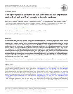 Cell layer-specific patterns of cell division and