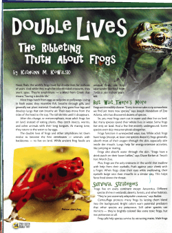 File - Kathiann M. Kowalski