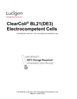 MA145 ClearColi&reg; BL21(DE3)Electrocompetent Cells