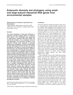Eukaryotic diversity and phylogeny using small - Universit&eacute; Paris-Sud