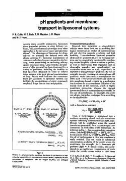 pH gradients and membrane transport in liposomal systems