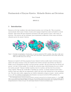 Fundamentals of Enzyme Kinetics: Michaelis