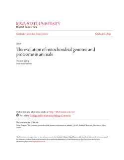 The evolution of mitochondrial genome and proteome in animals