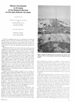 Marine microfossils in till clasts of the Elephant Moraine on the east