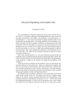 Electrical Signalling in Excitable Cells