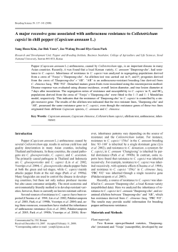 A major recessive gene associated with anthracnose resistance to