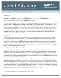 Delaware Bankruptcy Court Dismisses Chapter 11 Petition of of