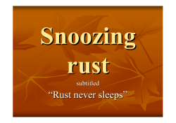 Snoozing Rust, Jim Staton, NHHW 2003, DOC