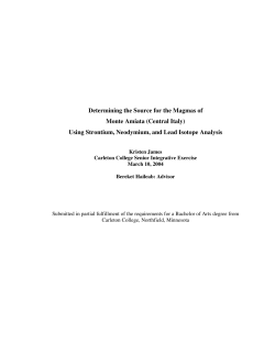 Determining the Source for the Magmas of Monte