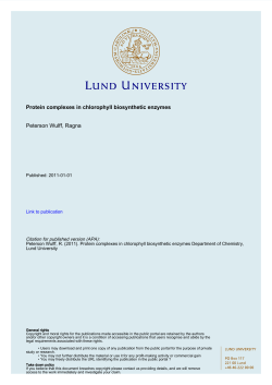 Protein complexes in chlorophyll biosynthetic enzymes Peterson