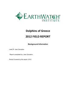Dolphins of Greece