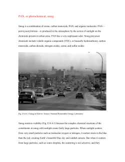 PAN, or photochemical, smog