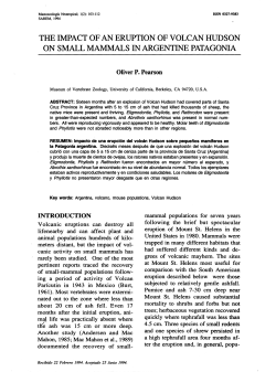 the impact of an eruption of volcan hudson on small