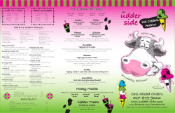 Ice Cream - the udder side