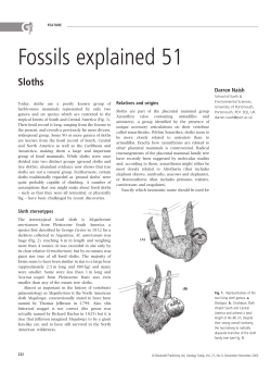 Fossils explained 51 - Red Cubana de la Ciencia