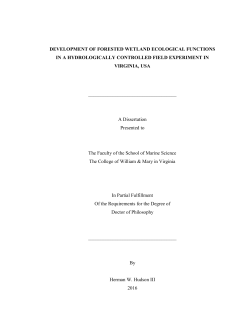 development of forested wetland ecological functions in a