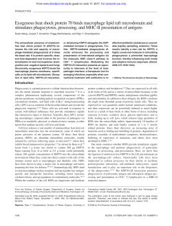 Exogenous heat shock protein 70 binds macrophage lipid raft