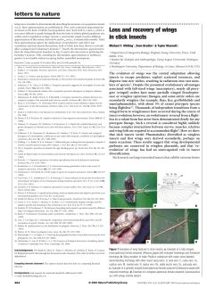Loss and recovery of wings in stick insects (PDF Available)