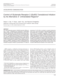 Control of Glutamate Receptor 2 (GluR2) Translational Initiation by