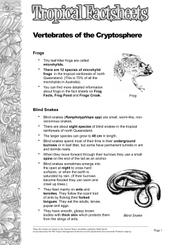 Cryptosphere Vertebrates - Wet Tropics Management Authority