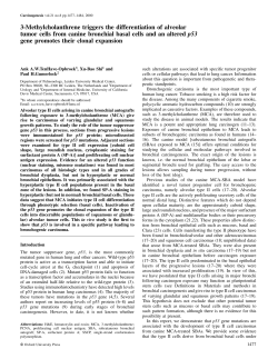 3-Methylcholanthrene triggers the differentiation of alveolar tumor