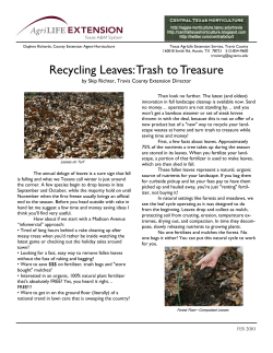 Recycling Leaves: Trash to Treasure