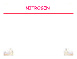 nitrogen - K-State Agronomy