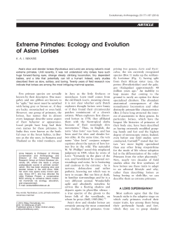Ecology and evolution of Asian lorises