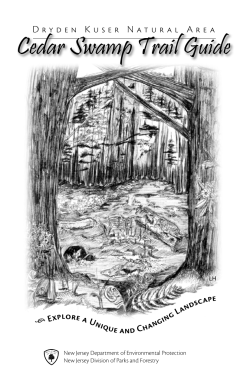 Cedar Swamp Trail Guide