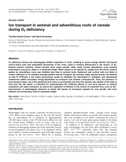 Ion transport in seminal and adventitious roots of