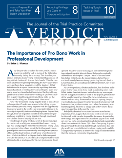 The Importance of Pro Bono Work in Professional